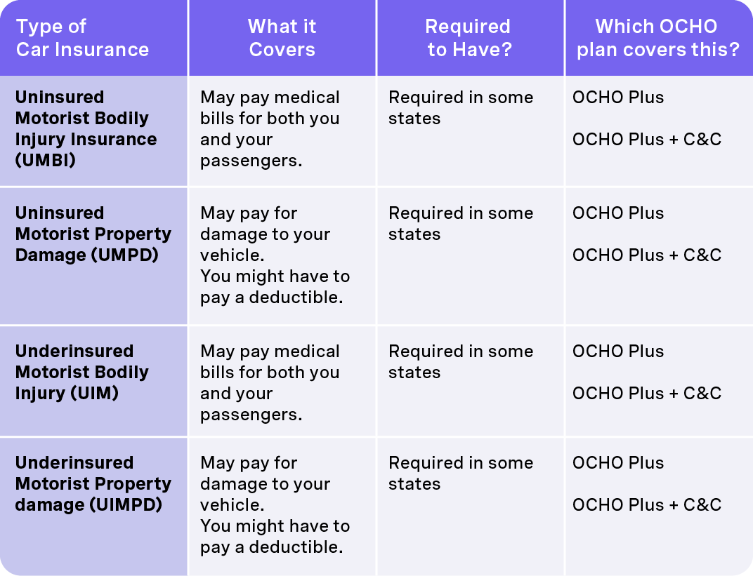 What Should I Know About Vehicle Insurance Coverage Options