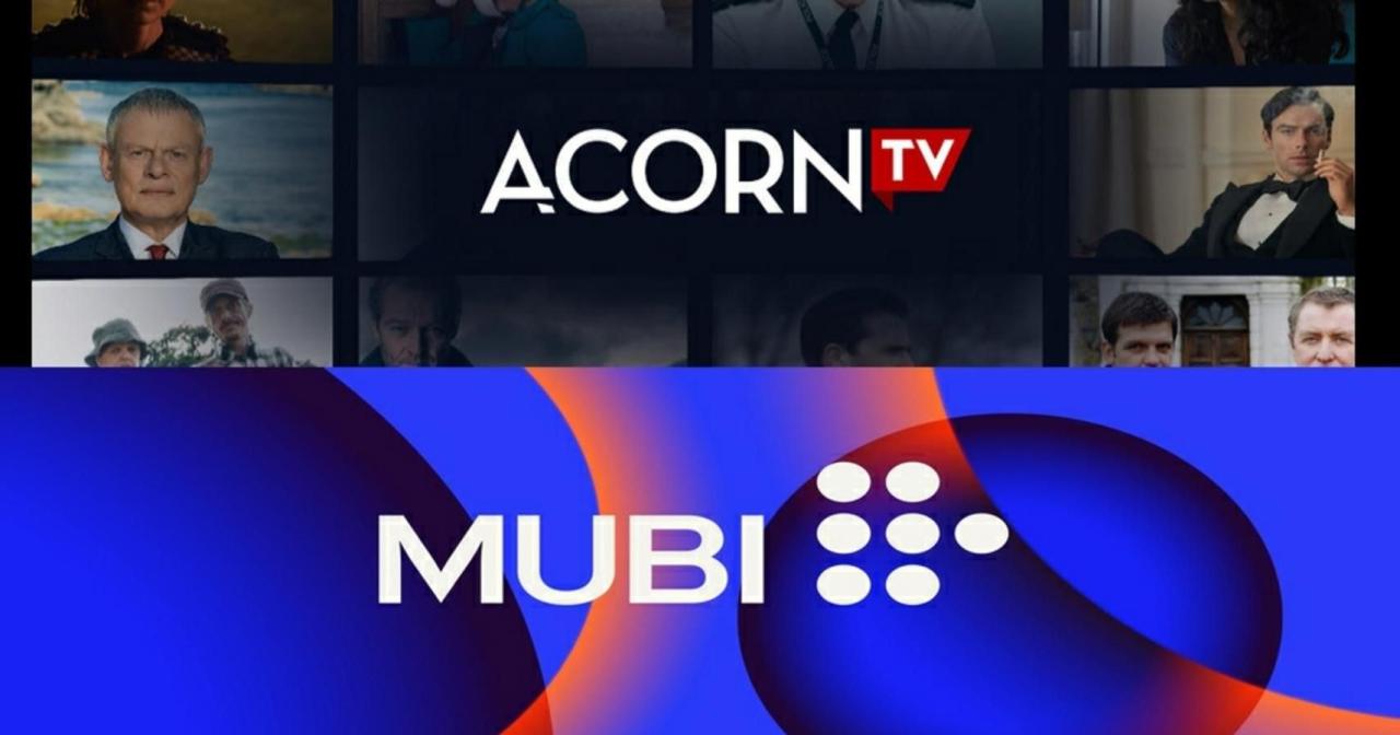 How To Watch International Films On Popular Platforms