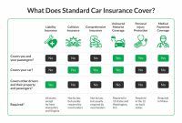 What Should I Know About Vehicle Insurance Coverage Options