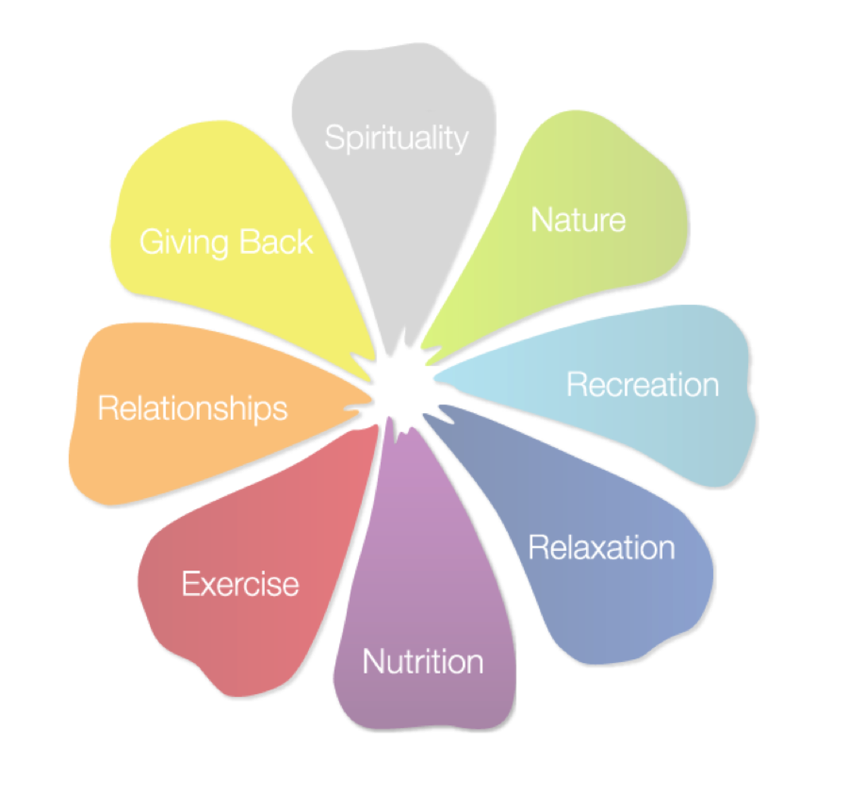 What Lifestyle Changes Can Enhance Overall Health And Wellness