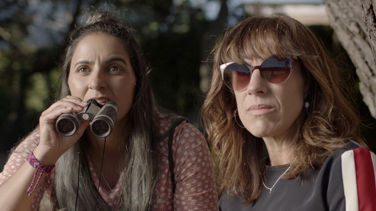 What Are The Best International Films Available Online