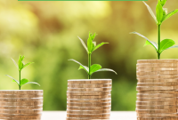 Importance Of Having An Emergency Fund