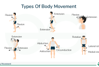 Types-Of-Body-Movement How To Save Money For Retirement Early