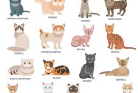 List Of All Cat Breeds Best Horror Movies Streaming This Halloween Season