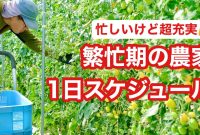 【繁忙期到来!】4時起きで頑張る4年目農家がこの時期やってること - YouTube How To Calculate Interest Rates On Loans?