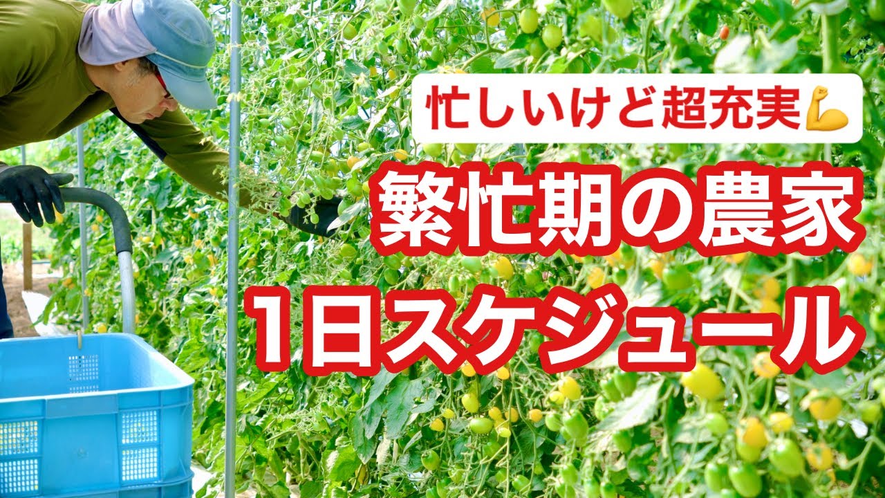 【繁忙期到来!】4時起きで頑張る4年目農家がこの時期やってること - YouTube How To Calculate Interest Rates On Loans?
